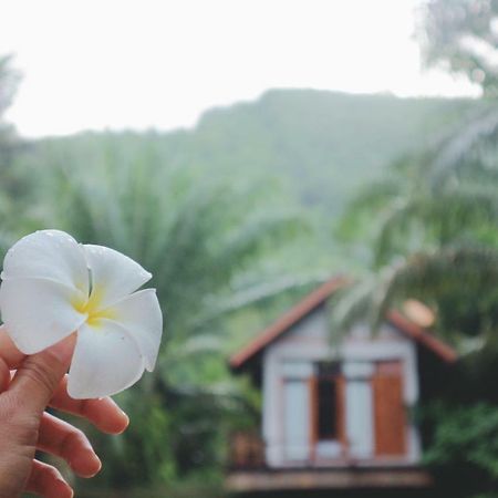 Baanraichaykhaofarmstay Nakhon Si Thammarat Exteriér fotografie